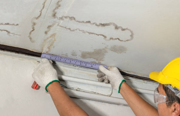 Reliable Basement Flood Cleanup contractor in Rockford, WA by Aqua Guard Water Damage
